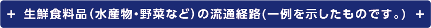 生鮮食料品（水産物・野菜など）の流通経路(一例を示したものです。)