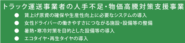 トラック運送事業者の人手不足・物価高騰対策支援事業