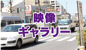 映像ギャラリー
